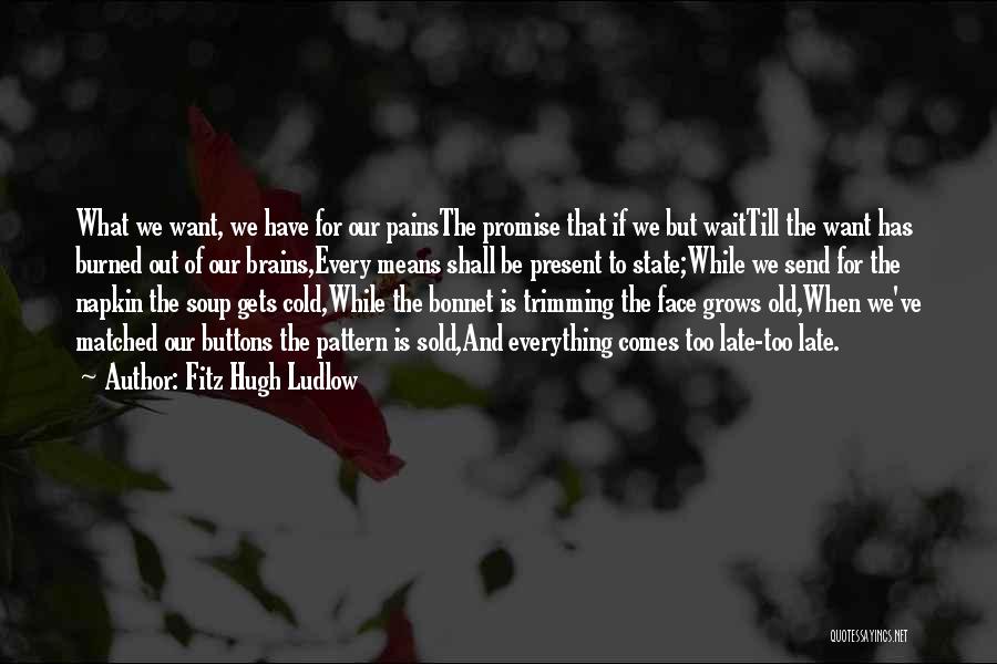 Fitz Hugh Ludlow Quotes: What We Want, We Have For Our Painsthe Promise That If We But Waittill The Want Has Burned Out Of