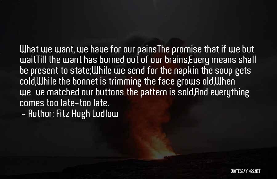 Fitz Hugh Ludlow Quotes: What We Want, We Have For Our Painsthe Promise That If We But Waittill The Want Has Burned Out Of