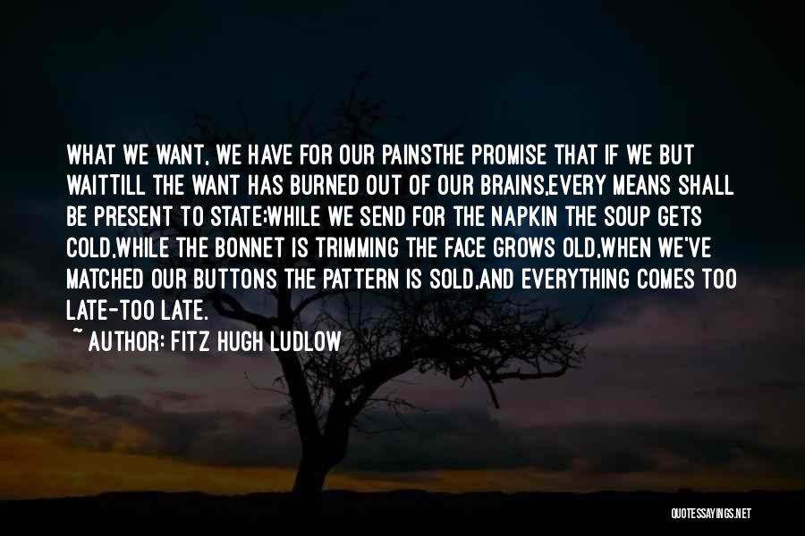 Fitz Hugh Ludlow Quotes: What We Want, We Have For Our Painsthe Promise That If We But Waittill The Want Has Burned Out Of