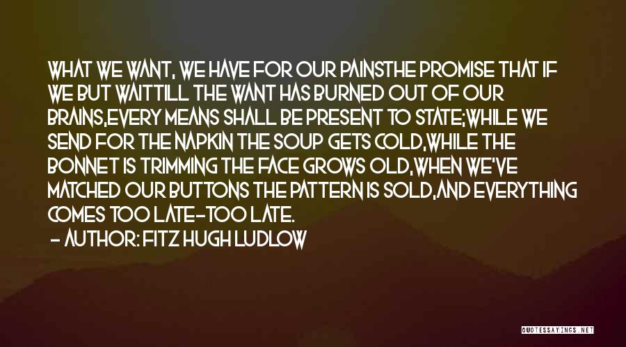 Fitz Hugh Ludlow Quotes: What We Want, We Have For Our Painsthe Promise That If We But Waittill The Want Has Burned Out Of