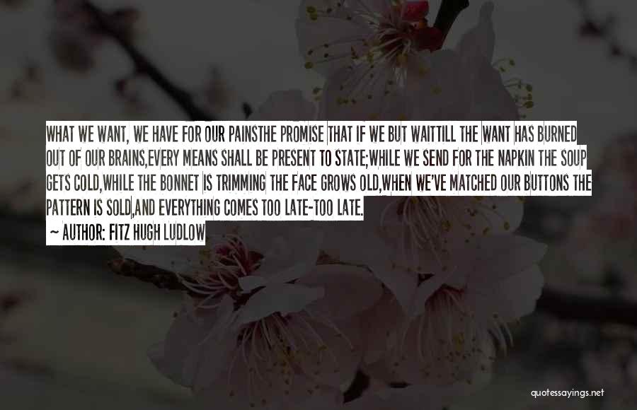 Fitz Hugh Ludlow Quotes: What We Want, We Have For Our Painsthe Promise That If We But Waittill The Want Has Burned Out Of