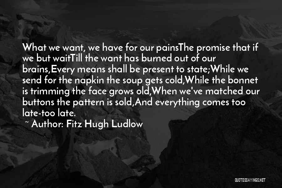 Fitz Hugh Ludlow Quotes: What We Want, We Have For Our Painsthe Promise That If We But Waittill The Want Has Burned Out Of