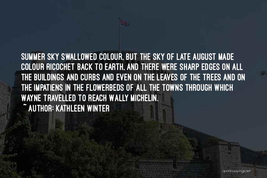 Kathleen Winter Quotes: Summer Sky Swallowed Colour, But The Sky Of Late August Made Colour Ricochet Back To Earth, And There Were Sharp