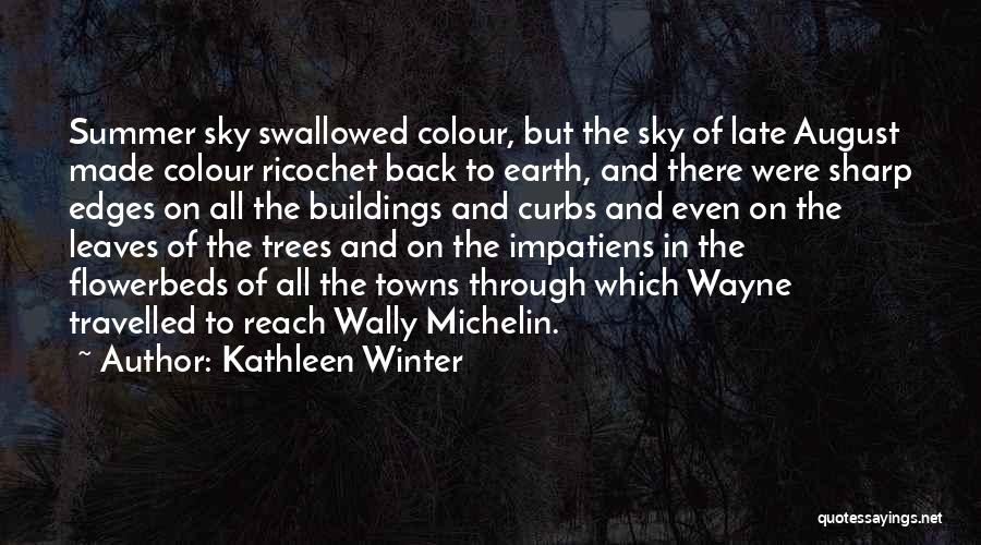 Kathleen Winter Quotes: Summer Sky Swallowed Colour, But The Sky Of Late August Made Colour Ricochet Back To Earth, And There Were Sharp