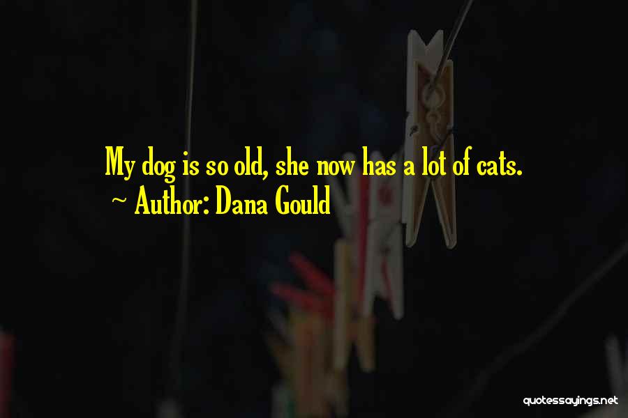 Dana Gould Quotes: My Dog Is So Old, She Now Has A Lot Of Cats.