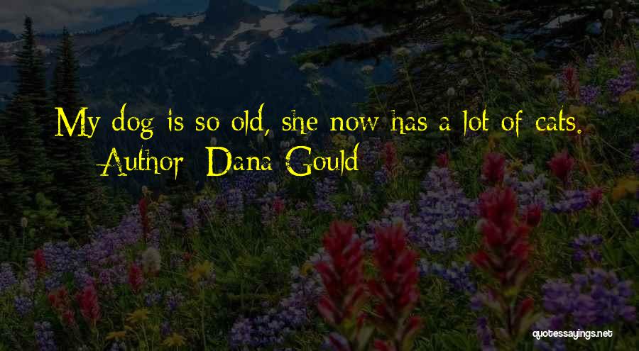Dana Gould Quotes: My Dog Is So Old, She Now Has A Lot Of Cats.
