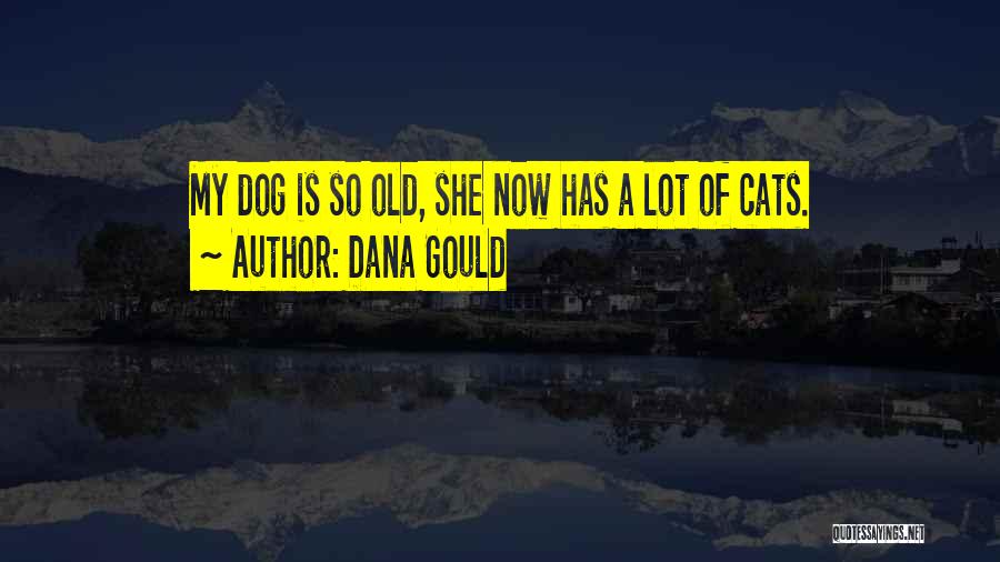 Dana Gould Quotes: My Dog Is So Old, She Now Has A Lot Of Cats.
