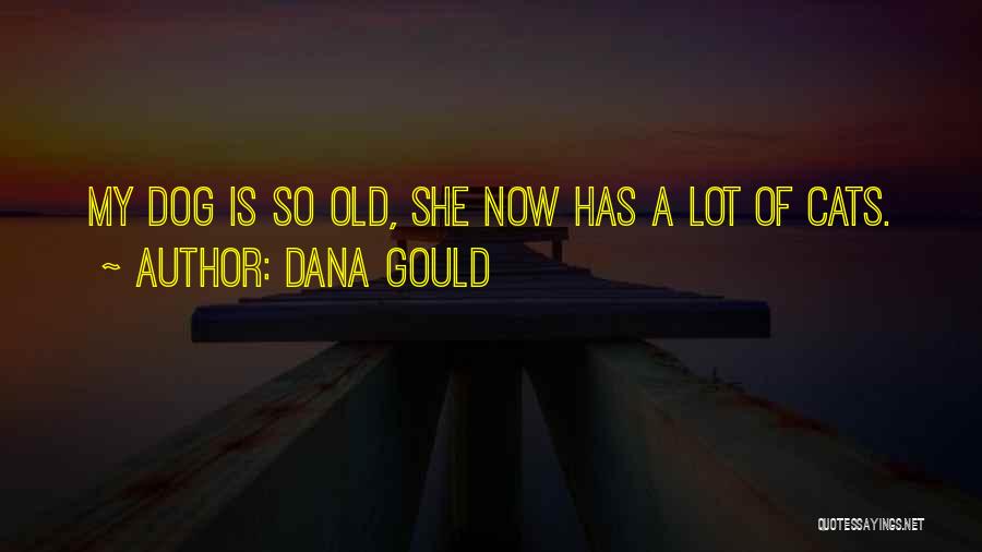 Dana Gould Quotes: My Dog Is So Old, She Now Has A Lot Of Cats.