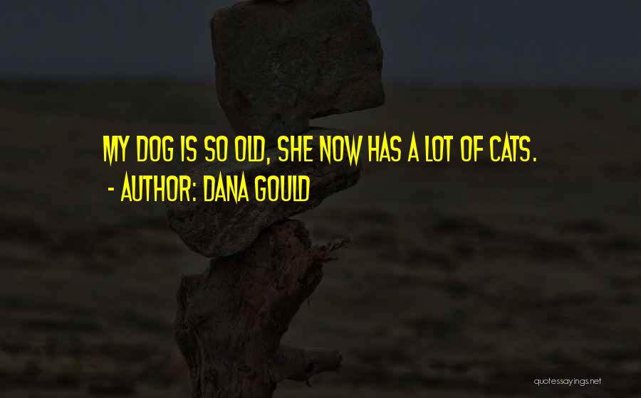 Dana Gould Quotes: My Dog Is So Old, She Now Has A Lot Of Cats.