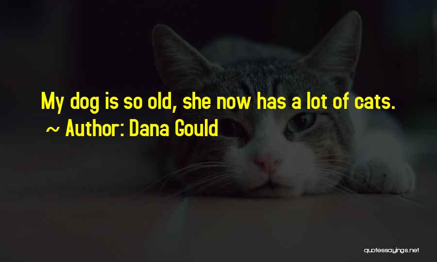Dana Gould Quotes: My Dog Is So Old, She Now Has A Lot Of Cats.