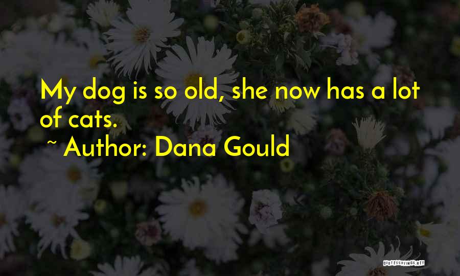 Dana Gould Quotes: My Dog Is So Old, She Now Has A Lot Of Cats.
