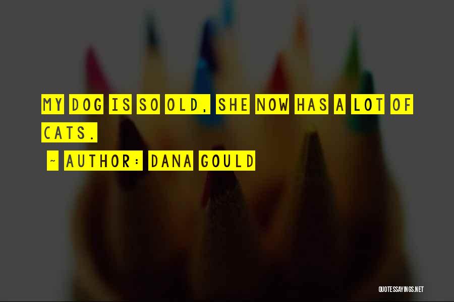 Dana Gould Quotes: My Dog Is So Old, She Now Has A Lot Of Cats.