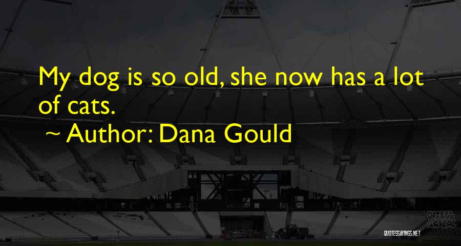 Dana Gould Quotes: My Dog Is So Old, She Now Has A Lot Of Cats.