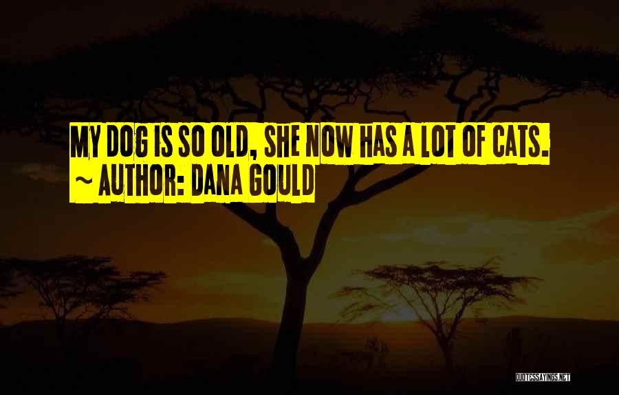 Dana Gould Quotes: My Dog Is So Old, She Now Has A Lot Of Cats.