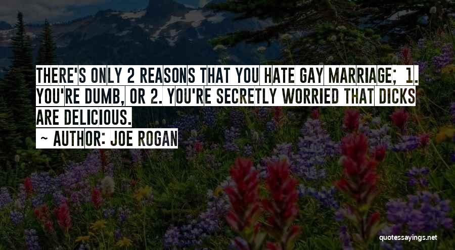 Joe Rogan Quotes: There's Only 2 Reasons That You Hate Gay Marriage; 1. You're Dumb, Or 2. You're Secretly Worried That Dicks Are