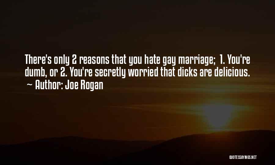 Joe Rogan Quotes: There's Only 2 Reasons That You Hate Gay Marriage; 1. You're Dumb, Or 2. You're Secretly Worried That Dicks Are