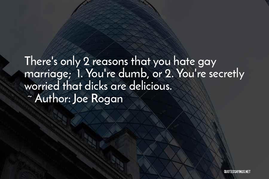 Joe Rogan Quotes: There's Only 2 Reasons That You Hate Gay Marriage; 1. You're Dumb, Or 2. You're Secretly Worried That Dicks Are
