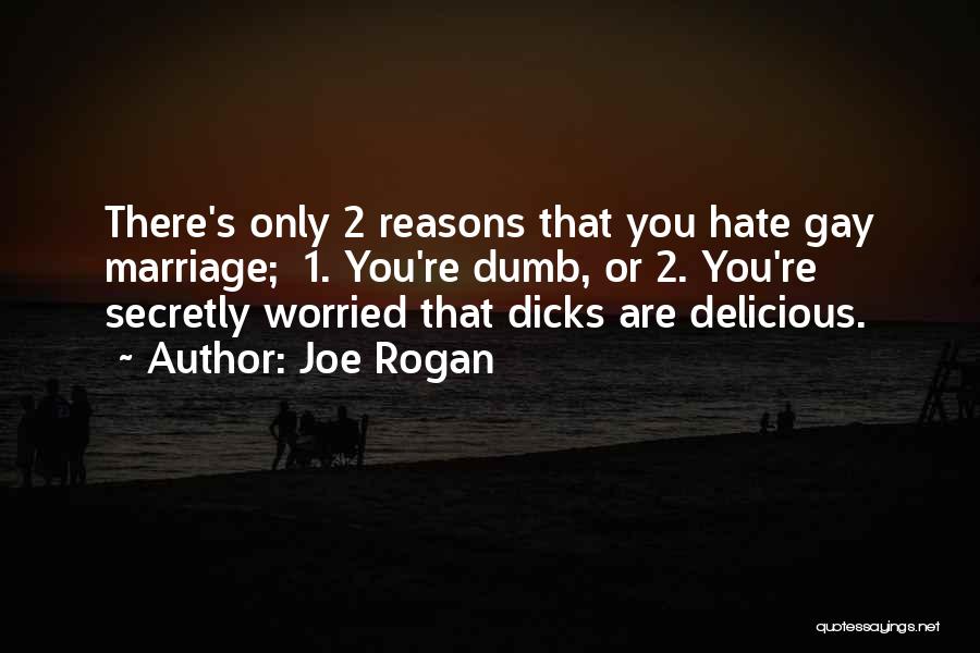 Joe Rogan Quotes: There's Only 2 Reasons That You Hate Gay Marriage; 1. You're Dumb, Or 2. You're Secretly Worried That Dicks Are