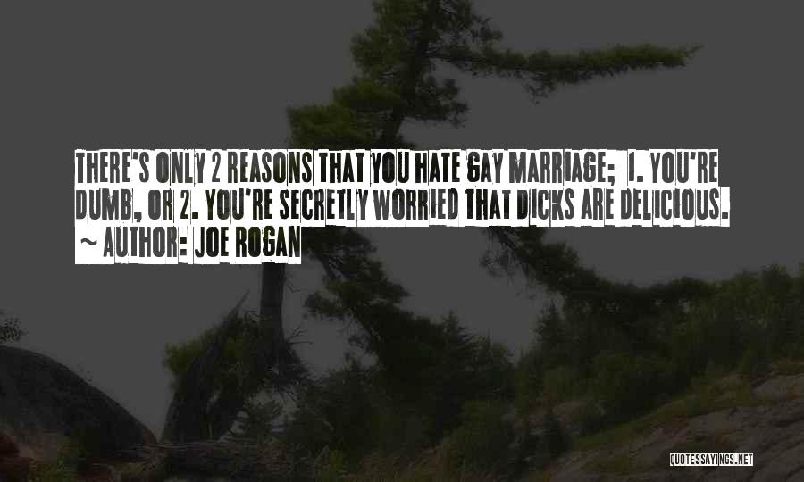 Joe Rogan Quotes: There's Only 2 Reasons That You Hate Gay Marriage; 1. You're Dumb, Or 2. You're Secretly Worried That Dicks Are