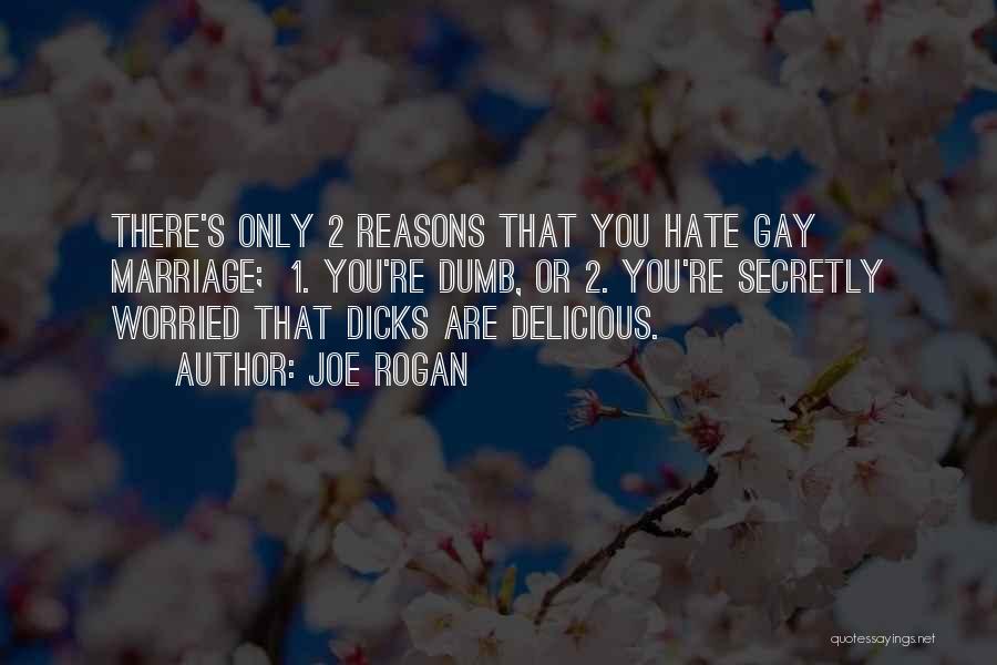 Joe Rogan Quotes: There's Only 2 Reasons That You Hate Gay Marriage; 1. You're Dumb, Or 2. You're Secretly Worried That Dicks Are