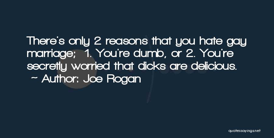 Joe Rogan Quotes: There's Only 2 Reasons That You Hate Gay Marriage; 1. You're Dumb, Or 2. You're Secretly Worried That Dicks Are