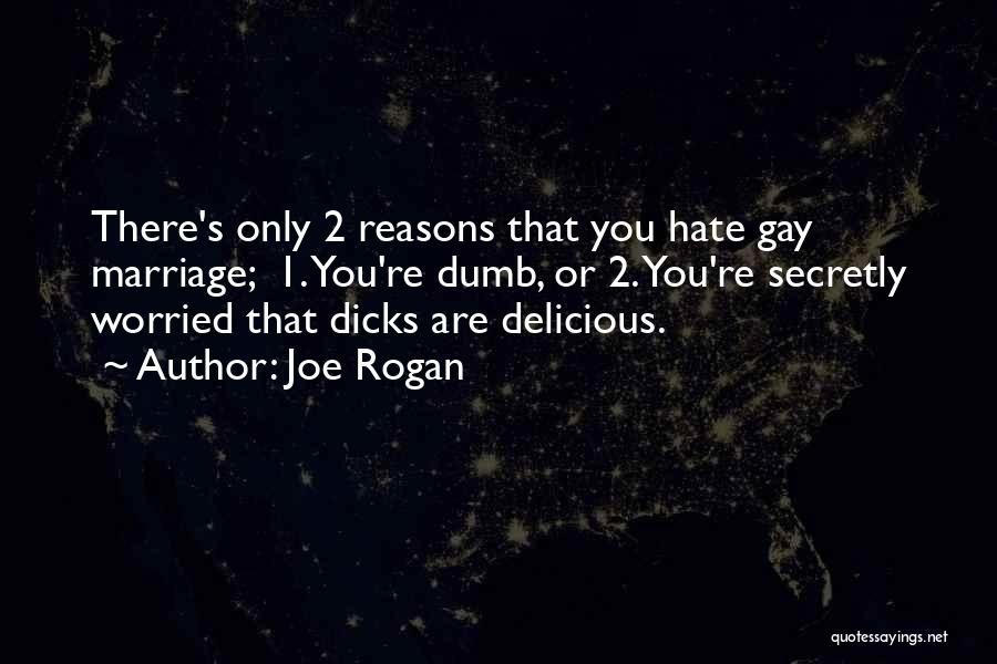 Joe Rogan Quotes: There's Only 2 Reasons That You Hate Gay Marriage; 1. You're Dumb, Or 2. You're Secretly Worried That Dicks Are