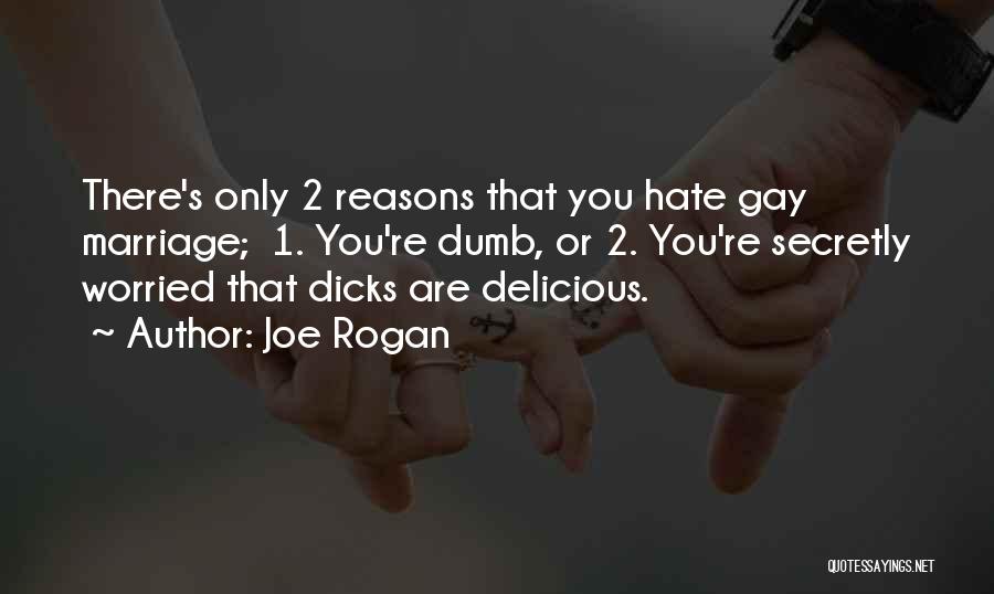 Joe Rogan Quotes: There's Only 2 Reasons That You Hate Gay Marriage; 1. You're Dumb, Or 2. You're Secretly Worried That Dicks Are