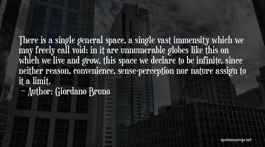 Giordano Bruno Quotes: There Is A Single General Space, A Single Vast Immensity Which We May Freely Call Void: In It Are Unnumerable