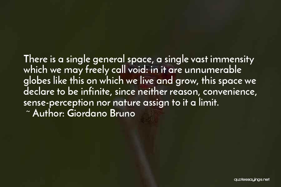 Giordano Bruno Quotes: There Is A Single General Space, A Single Vast Immensity Which We May Freely Call Void: In It Are Unnumerable