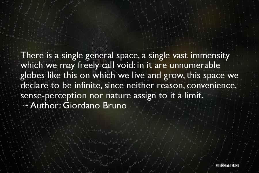 Giordano Bruno Quotes: There Is A Single General Space, A Single Vast Immensity Which We May Freely Call Void: In It Are Unnumerable