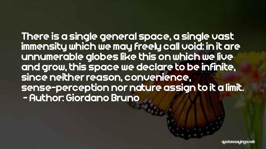 Giordano Bruno Quotes: There Is A Single General Space, A Single Vast Immensity Which We May Freely Call Void: In It Are Unnumerable