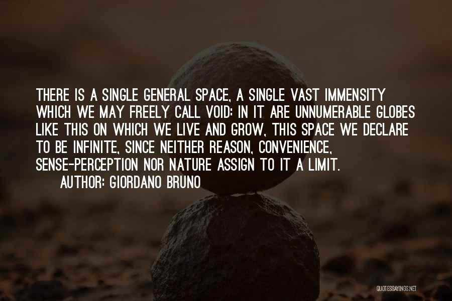 Giordano Bruno Quotes: There Is A Single General Space, A Single Vast Immensity Which We May Freely Call Void: In It Are Unnumerable