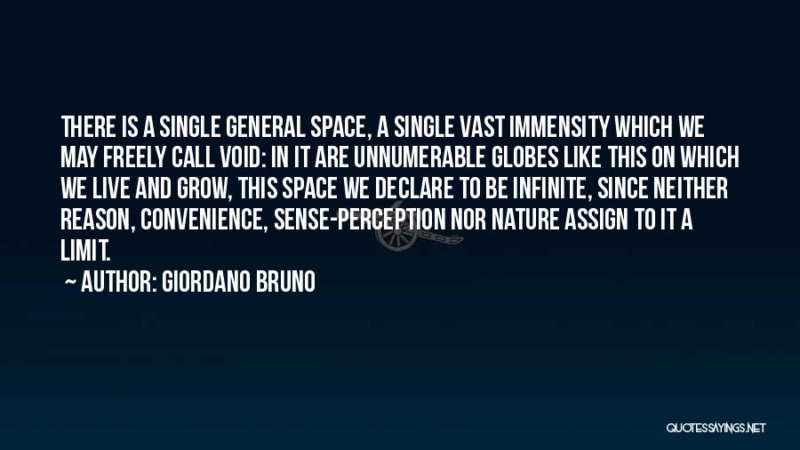 Giordano Bruno Quotes: There Is A Single General Space, A Single Vast Immensity Which We May Freely Call Void: In It Are Unnumerable