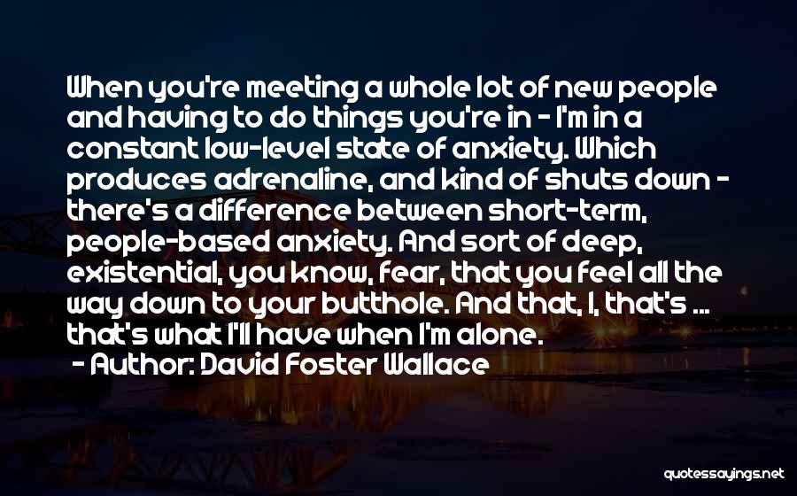 David Foster Wallace Quotes: When You're Meeting A Whole Lot Of New People And Having To Do Things You're In - I'm In A