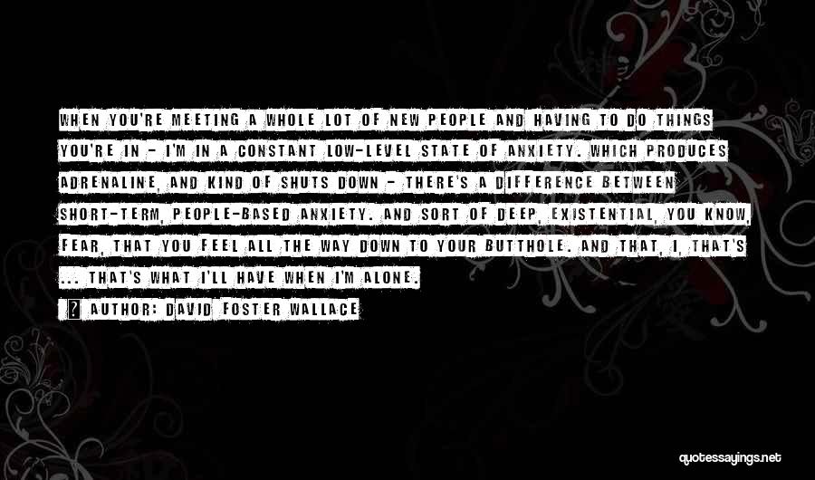 David Foster Wallace Quotes: When You're Meeting A Whole Lot Of New People And Having To Do Things You're In - I'm In A