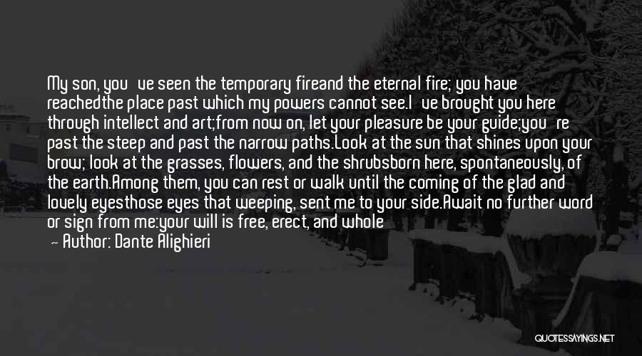 Dante Alighieri Quotes: My Son, You've Seen The Temporary Fireand The Eternal Fire; You Have Reachedthe Place Past Which My Powers Cannot See.i've