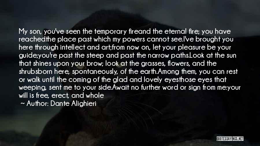 Dante Alighieri Quotes: My Son, You've Seen The Temporary Fireand The Eternal Fire; You Have Reachedthe Place Past Which My Powers Cannot See.i've