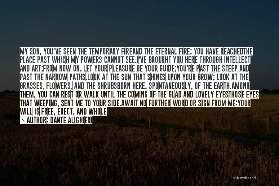 Dante Alighieri Quotes: My Son, You've Seen The Temporary Fireand The Eternal Fire; You Have Reachedthe Place Past Which My Powers Cannot See.i've