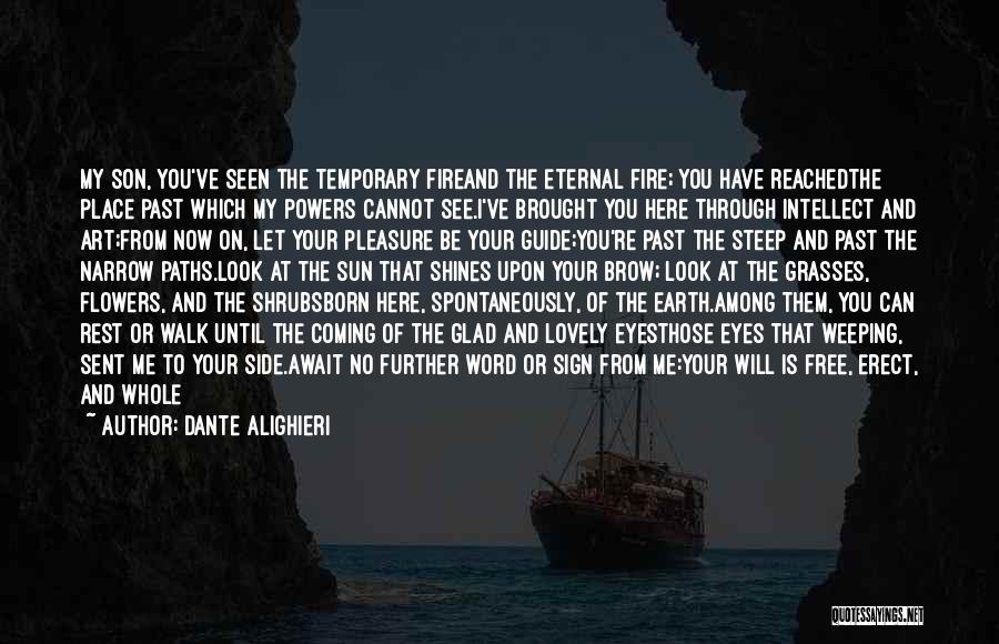 Dante Alighieri Quotes: My Son, You've Seen The Temporary Fireand The Eternal Fire; You Have Reachedthe Place Past Which My Powers Cannot See.i've