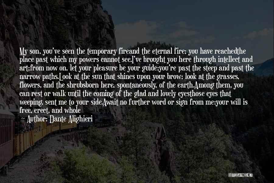 Dante Alighieri Quotes: My Son, You've Seen The Temporary Fireand The Eternal Fire; You Have Reachedthe Place Past Which My Powers Cannot See.i've