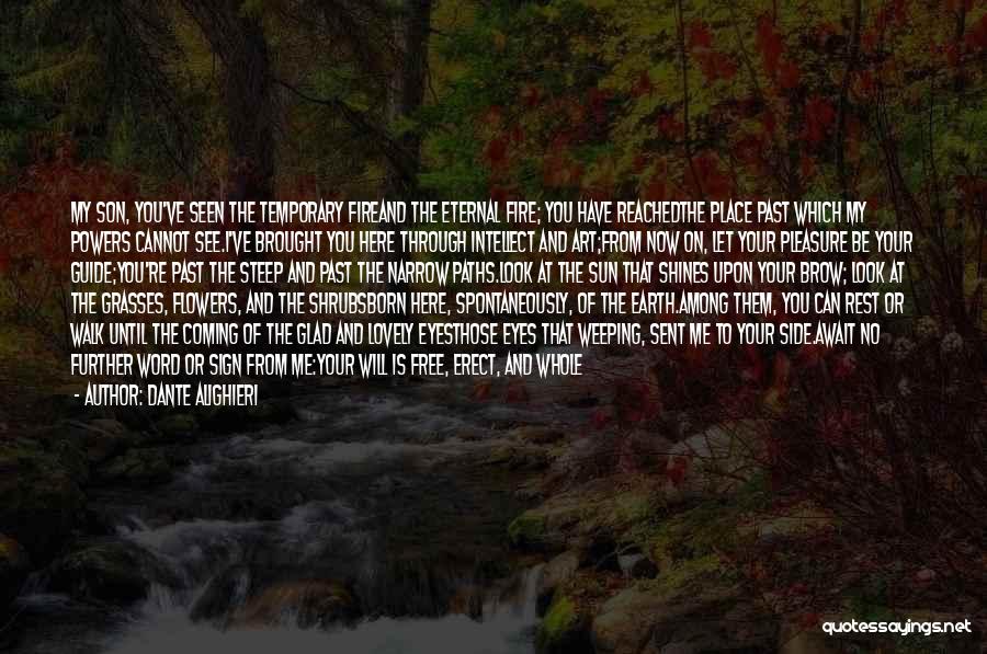 Dante Alighieri Quotes: My Son, You've Seen The Temporary Fireand The Eternal Fire; You Have Reachedthe Place Past Which My Powers Cannot See.i've