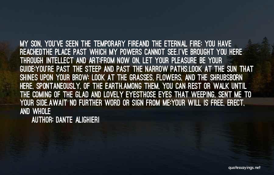 Dante Alighieri Quotes: My Son, You've Seen The Temporary Fireand The Eternal Fire; You Have Reachedthe Place Past Which My Powers Cannot See.i've