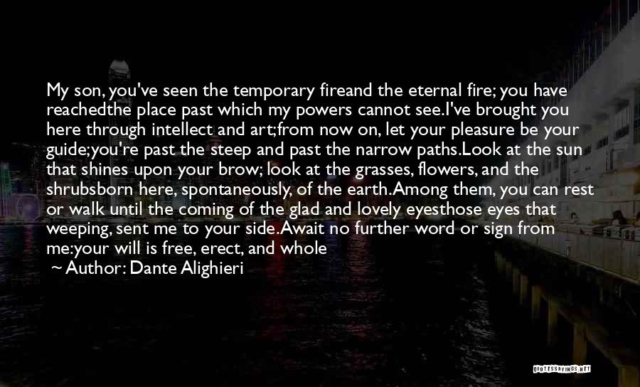 Dante Alighieri Quotes: My Son, You've Seen The Temporary Fireand The Eternal Fire; You Have Reachedthe Place Past Which My Powers Cannot See.i've