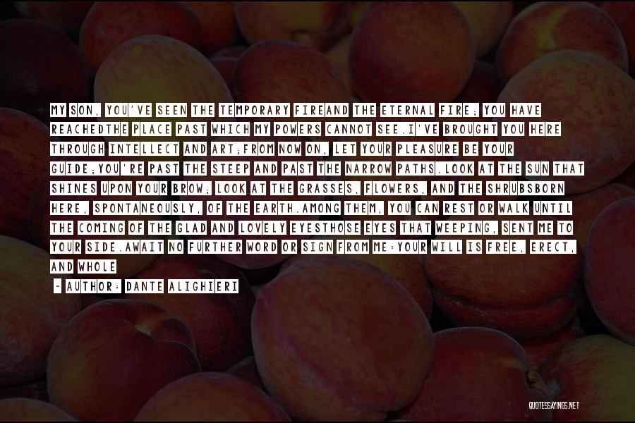 Dante Alighieri Quotes: My Son, You've Seen The Temporary Fireand The Eternal Fire; You Have Reachedthe Place Past Which My Powers Cannot See.i've