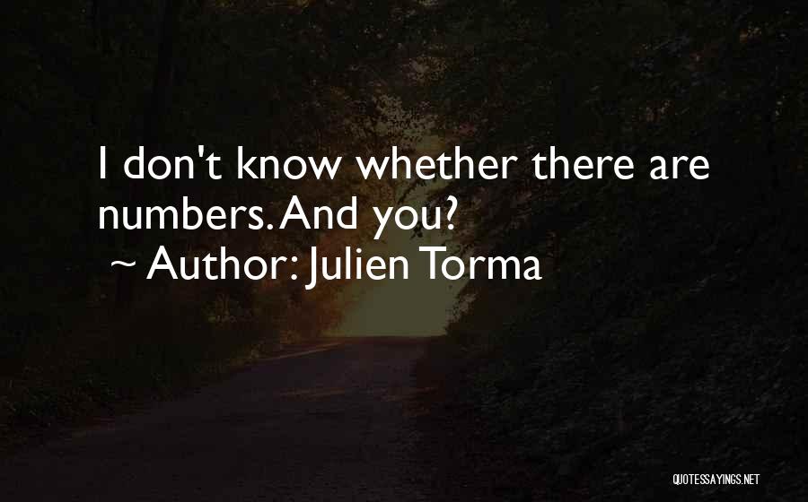 Julien Torma Quotes: I Don't Know Whether There Are Numbers. And You?