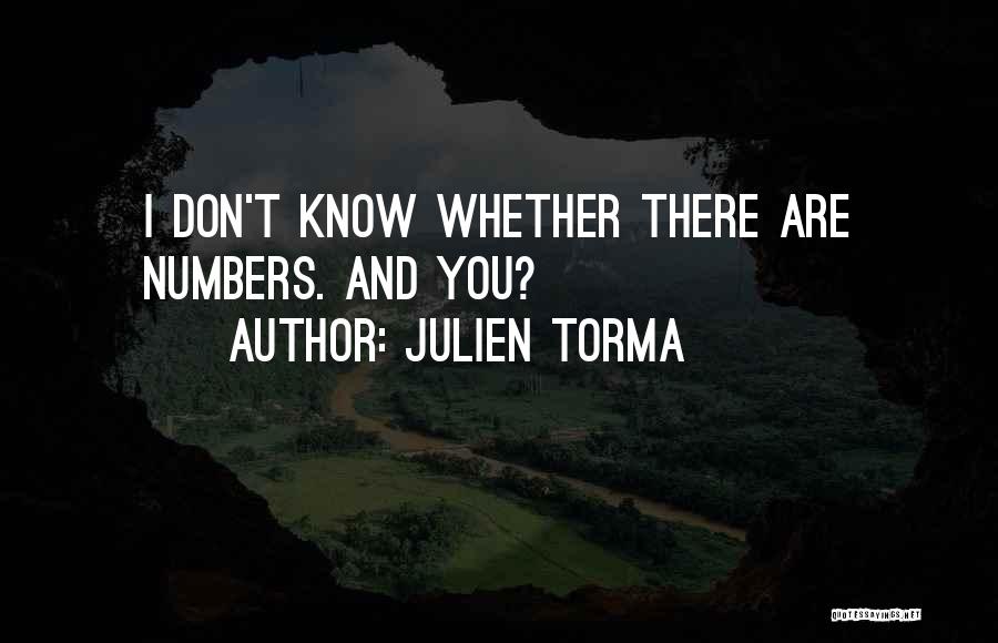 Julien Torma Quotes: I Don't Know Whether There Are Numbers. And You?