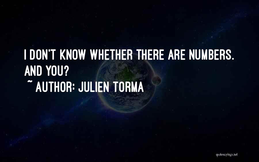 Julien Torma Quotes: I Don't Know Whether There Are Numbers. And You?