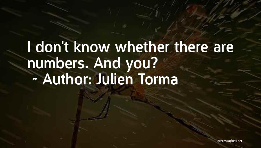 Julien Torma Quotes: I Don't Know Whether There Are Numbers. And You?