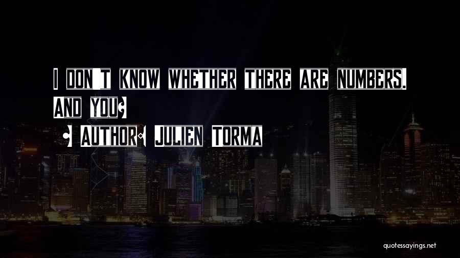 Julien Torma Quotes: I Don't Know Whether There Are Numbers. And You?