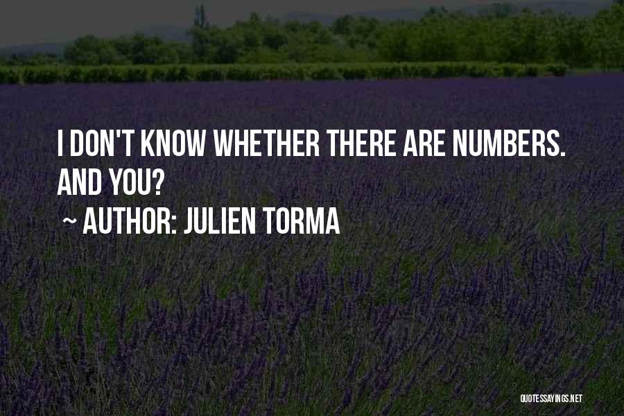 Julien Torma Quotes: I Don't Know Whether There Are Numbers. And You?